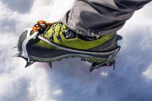 Petzl Irvis Leverlock