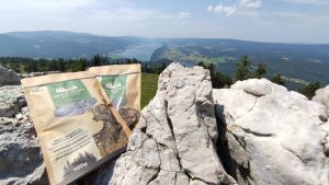 Wild Hunt Biltong Classic
