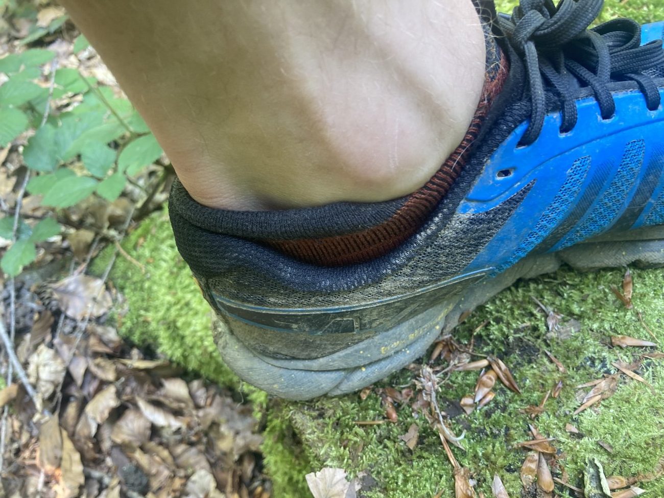 Detail Sockenhöhe der Darn Tough Run No Show Tab Ultra-Lightweight Running Sock im Trail Running Schuh 