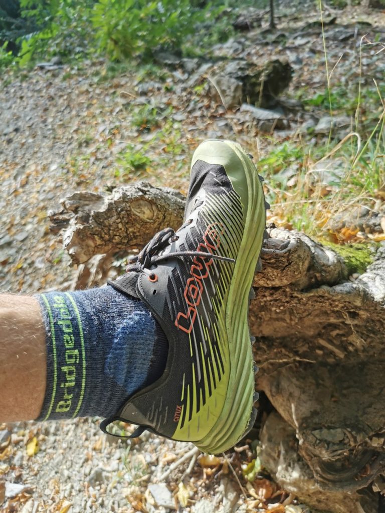 Lowa Citux Trailrunning-Schuh im Einsatz