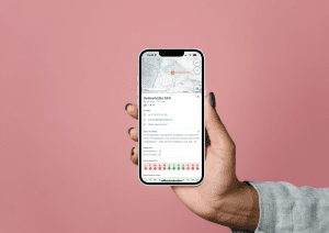 swisstopo App neu mit Base Map