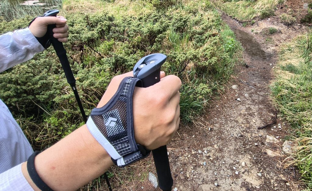 Black Diamond Distance Carbon Z FKT Pole