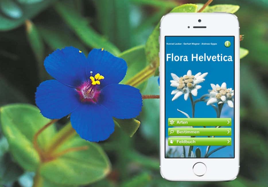 Flora Helvetica App