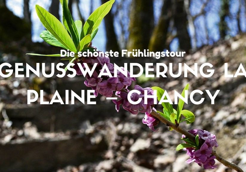 Genusswanderung La Plaine Chancy